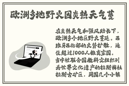 欧美成人精品视频在线观看